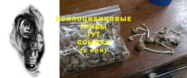 соль ск Карталы