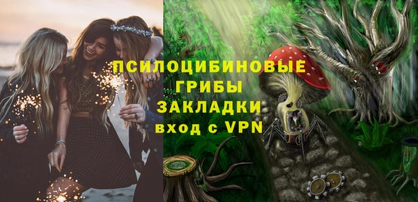 mdpv Киреевск