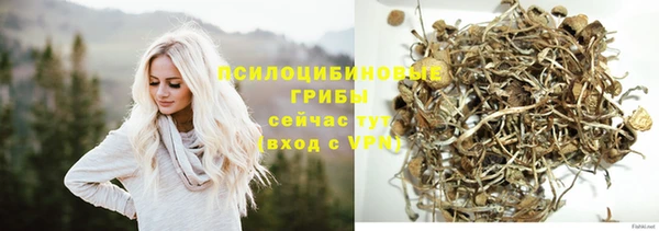 mdpv Киреевск