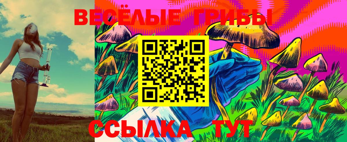 Северодвинск  Галлюциногенные грибы мухоморы  дарнет шоп  Вход с VPN 