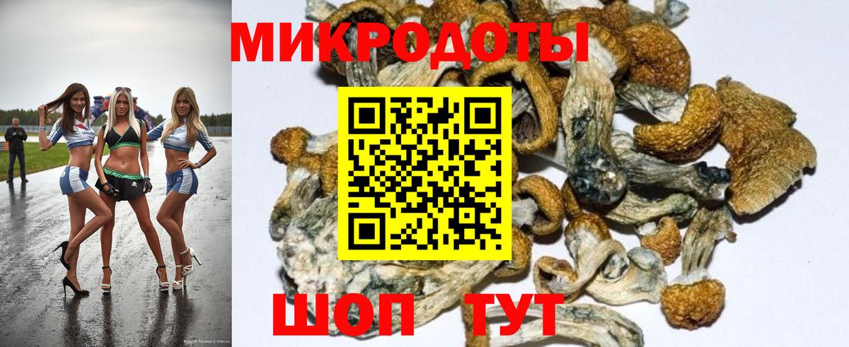 Псилоцибиновые грибы Cubensis  Северодвинск  Псилоцибиновые грибы Magic Shrooms 