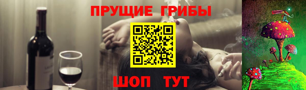 Галлюциногенные грибы GOLDEN TEACHER Северодвинск