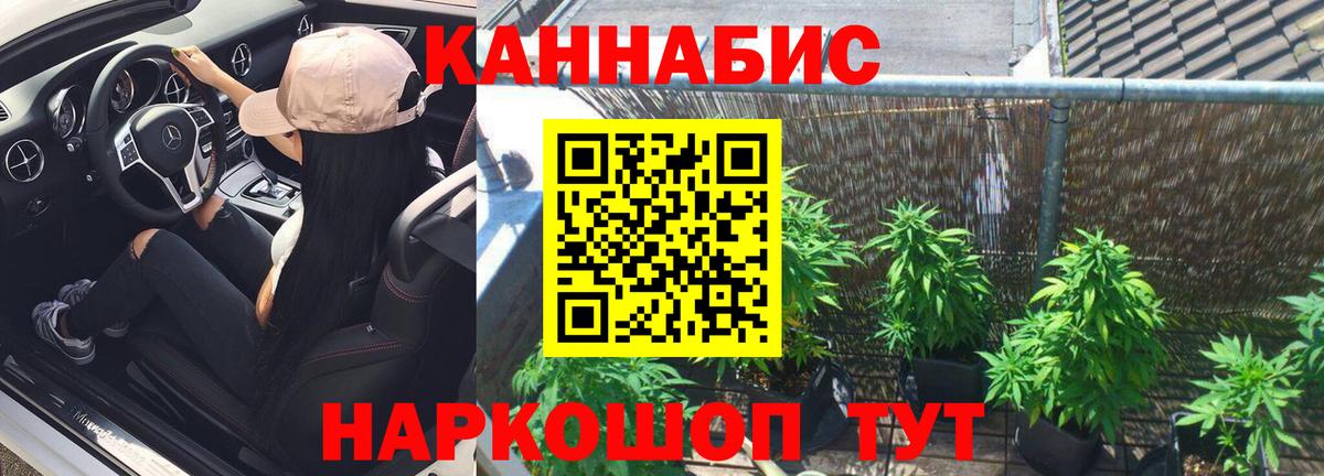 Бошки марихуана конопля Северодвинск